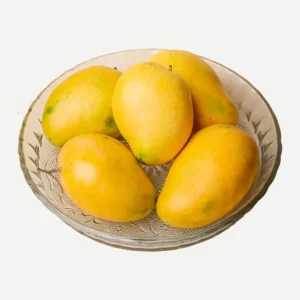 premium banganapalli (safeda) mango – fiberless & extra sweet