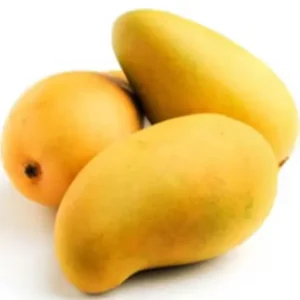 premium amrapali mango – 100% natural & extremely sweet (copy)